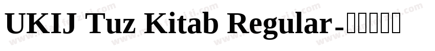 UKIJ Tuz Kitab Regular字体转换